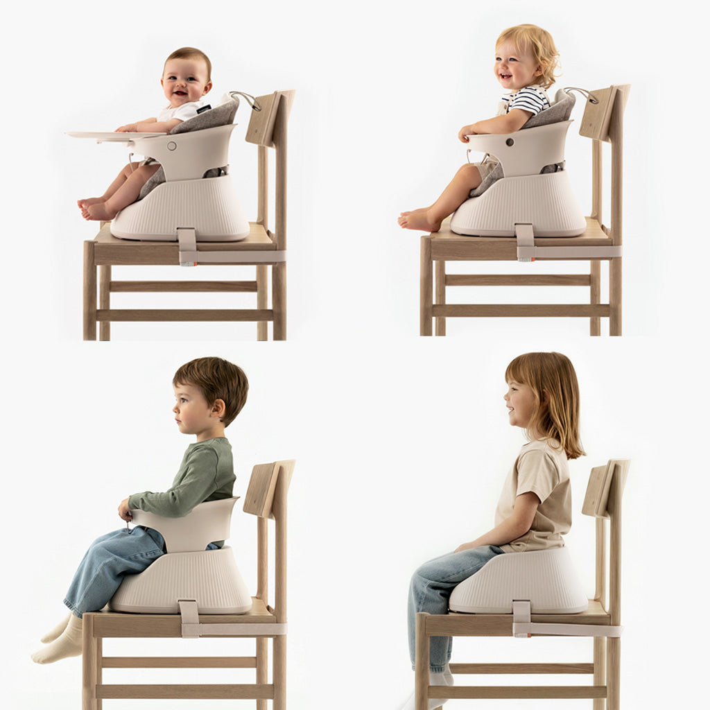 The Portable High Chair